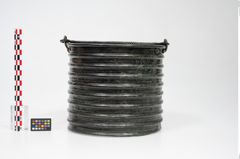 Foto von Bronzerippenziste (NHMW-PRAE-025670)